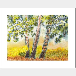 Autumn Birch Trees Posters and Art
